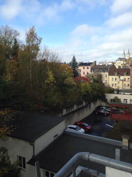 Schoenes City-Apartment Im Zentrum Mit Balkon 霍夫 外观 照片